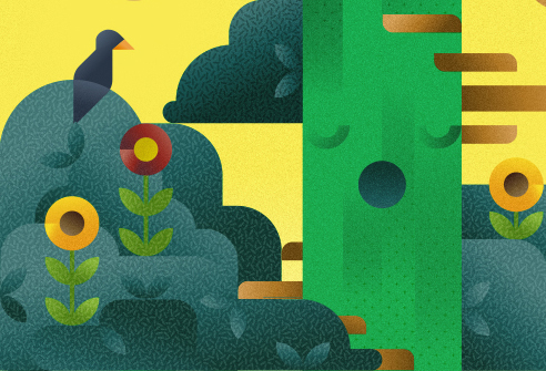 A sleeping cactus tree with flowers and birds at dawn, illustration by Francesco Faggiano illustrator