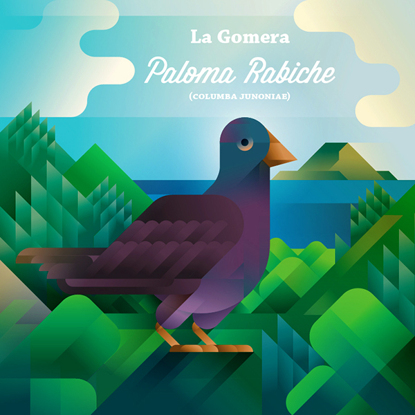 Paloma rabiche pigeon bird on hill, symbol of La Gomera island, art print illustration by Francesco Faggiano illustrator