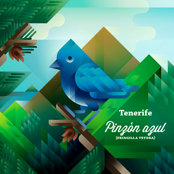 Pinzón azul bird on a tree with Teide mountain landscape, symbol of Tenerife island, art print illustration by Francesco Faggiano illustrator