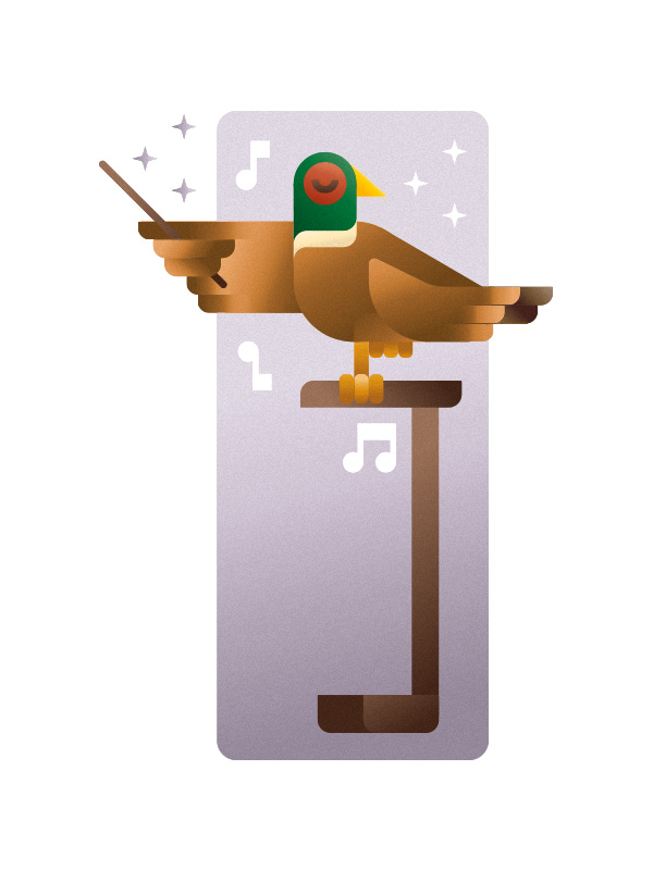 Pheasant orchestra director, illustration by Francesco Faggiano illustrator